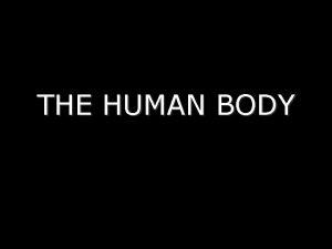THE HUMAN BODY BODY ORGANIZATION TISSUES ORGANS CELLS