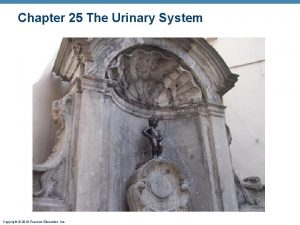 Chapter 25 The Urinary System Copyright 2010 Pearson