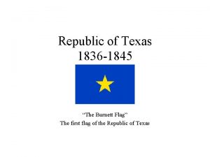 Republic of Texas 1836 1845 The Burnett Flag