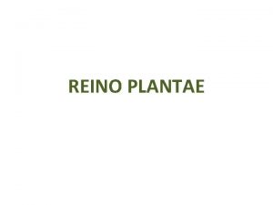 REINO PLANTAE El Reino de las Plantas o