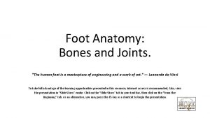 Foot Anatomy Bones and Joints The human foot