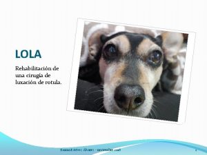 LOLA Rehabilitacin de una ciruga de luxacin de