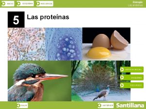 INICIO ESQUEMA 5 Biologa Las protenas RECURSOS Las