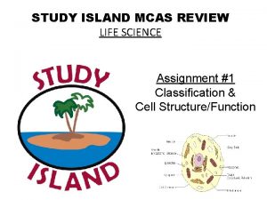 STUDY ISLAND MCAS REVIEW LIFE SCIENCE Assignment 1