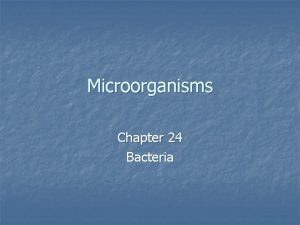 Microorganisms Chapter 24 Bacteria Microorganisms Defined n n
