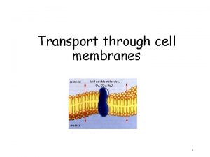 Transport through cell membranes 1 Transport through cell