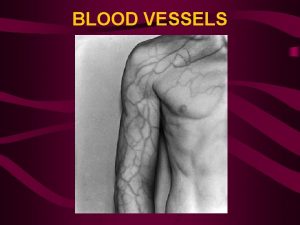 BLOOD VESSELS ARTERIES FUNCTION CARRIES OXYGENATED BLOOD AWAY
