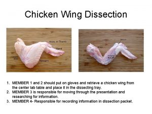 Chicken Wing Dissection 1 MEMBER 1 and 2