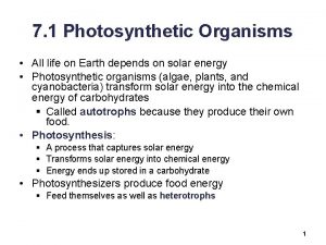 7 1 Photosynthetic Organisms All life on Earth