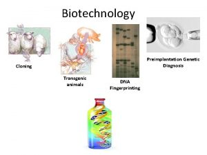 Biotechnology Preimplantation Genetic Diagnosis Cloning Transgenic animals DNA