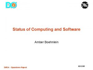 Status of Computing and Software Amber Boehnlein DCA