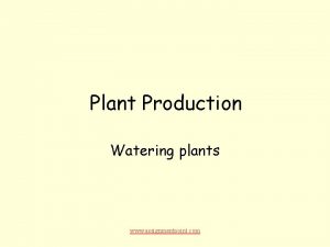 Plant Production Watering plants www assignmentpoint com Why