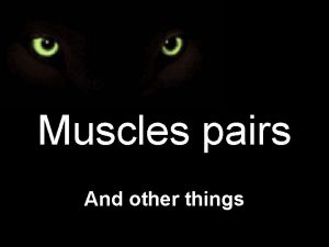 Muscles pairs And other things Muscles have opposing