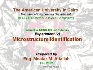 The American University in Cairo Mechanical Engineering Department