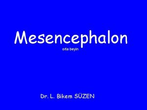 Mesencephalon orta beyin Dr L Bikem SZEN aada