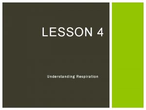 LESSON 4 Understanding Respiration NEXT GENERATION SCIENCECOMMON CORE