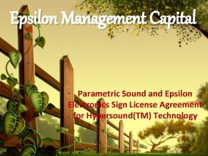 Epsilon Management Capital Parametric Sound and Epsilon Electronics