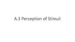 A 3 Perception of Stimuli Understandings Receptors detect