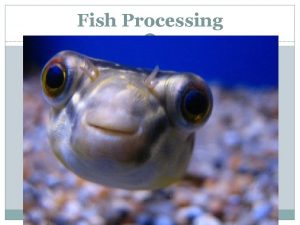Fish Processing Fish Processing 33014 Fish Processing What