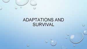 ADAPTATIONS AND SURVIVAL ADAPTATIONS TRAITS THAT MAKE IT