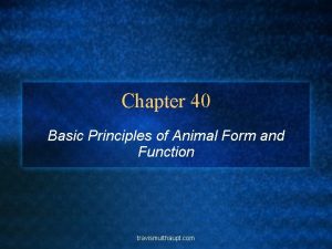 Chapter 40 Basic Principles of Animal Form and