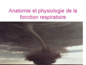 Anatomie et physiologie de la fonction respiratoire mitochondrie