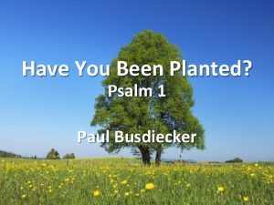 Have You Been Planted Psalm 1 Paul Busdiecker