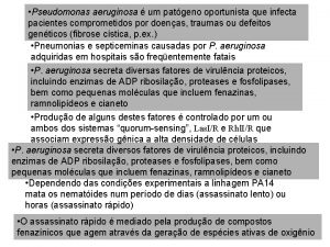 Pseudomonas aeruginosa um patgeno oportunista que infecta pacientes