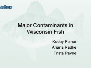 Major Contaminants in Wisconsin Fish Kodey Feiner Ariana