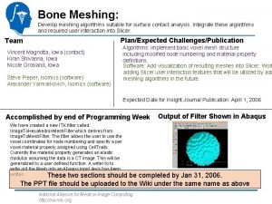 Bone Meshing Develop meshing algorithms suitable for surface