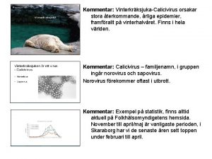 Kommentar VinterkrksjukaCalicivirus orsakar stora terkommande rliga epidemier framfrallt