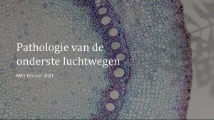 Pathologie van de onderste luchtwegen MK 1 februari