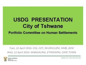 USDG PRESENTATION City of Tshwane Portfolio Committee on