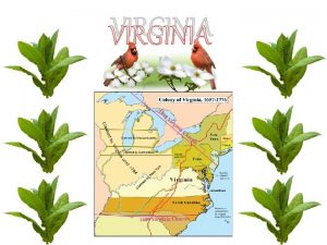 VIRGINIA VIRGINIA Founded 1607 Founder The Virginia Company
