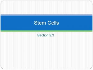 Stem Cells Section 9 3 Stem Cells Unspecialized