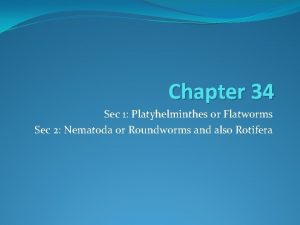 Chapter 34 Sec 1 Platyhelminthes or Flatworms Sec