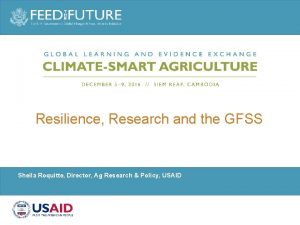 Resilience Research and the GFSS Sheila Roquitte Director