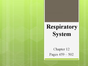 Respiratory System Chapter 12 Pages 459 502 Page