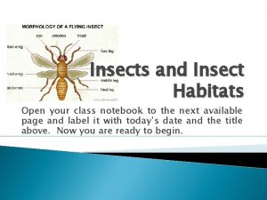 Insects and Insect Habitats Open your class notebook