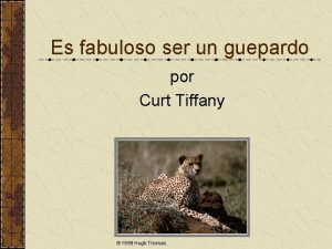 Es fabuloso ser un guepardo por Curt Tiffany