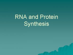 RNA and Protein Synthesis 3 Differences Between RNA