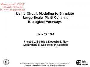 Using Circuit Modeling to Simulate Large Scale MultiCellular