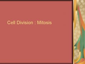 Cell Division Mitosis Cell Division essential to the