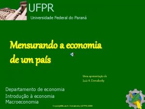 UFPR Universidade Federal do Paran Mensurando a economia