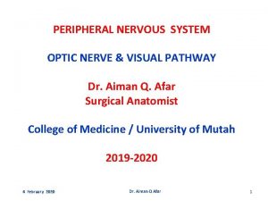 PERIPHERAL NERVOUS SYSTEM OPTIC NERVE VISUAL PATHWAY Dr