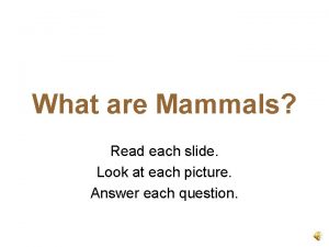 What are Mammals Read each slide Look at