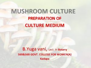 MUSHROOM CULTURE PREPARATION OF CULTURE MEDIUM B Yuga