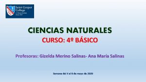 CIENCIAS NATURALES CURSO 4 BSICO Profesoras Gizelda Merino