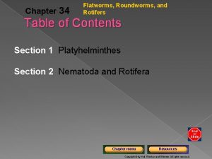 Chapter 34 Flatworms Roundworms and Rotifers Table of