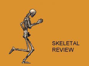 SKELETAL REVIEW s 1 Occipital bone 2 Parietal